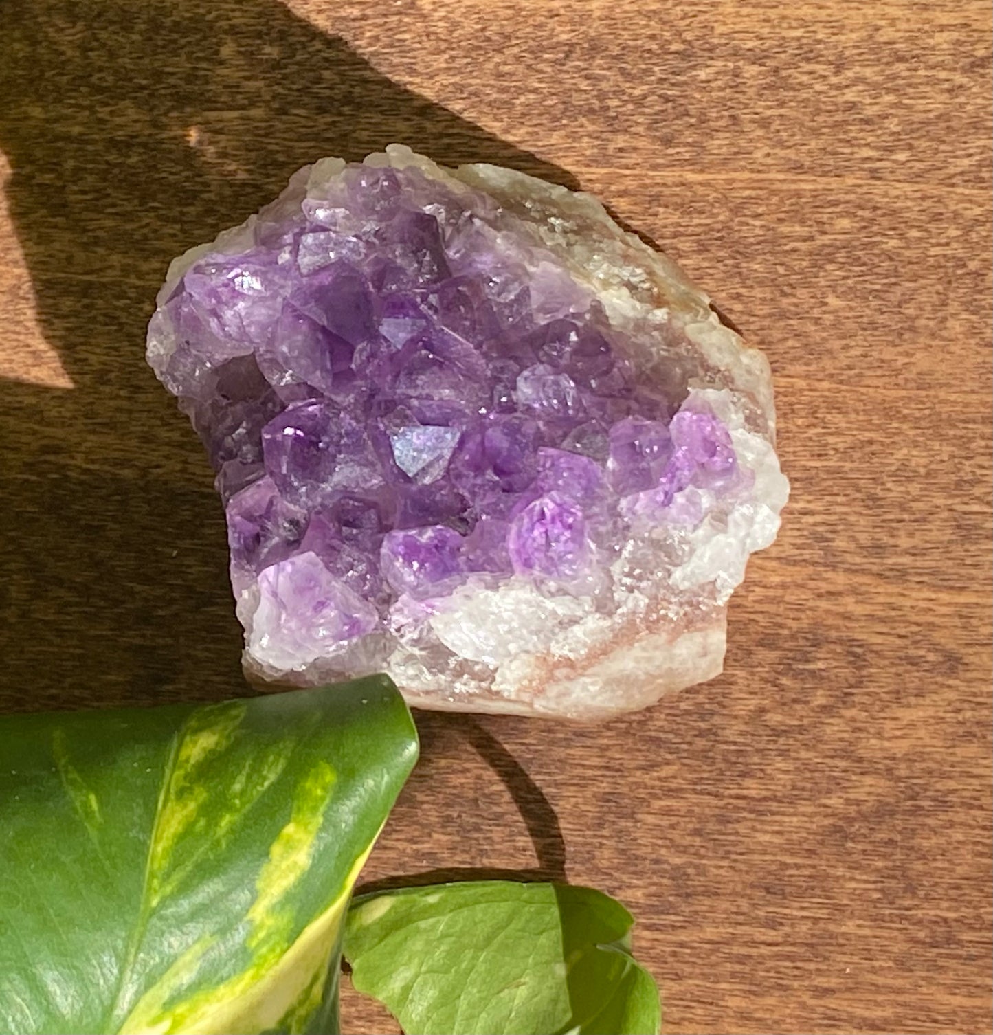 Amethyst Cluster