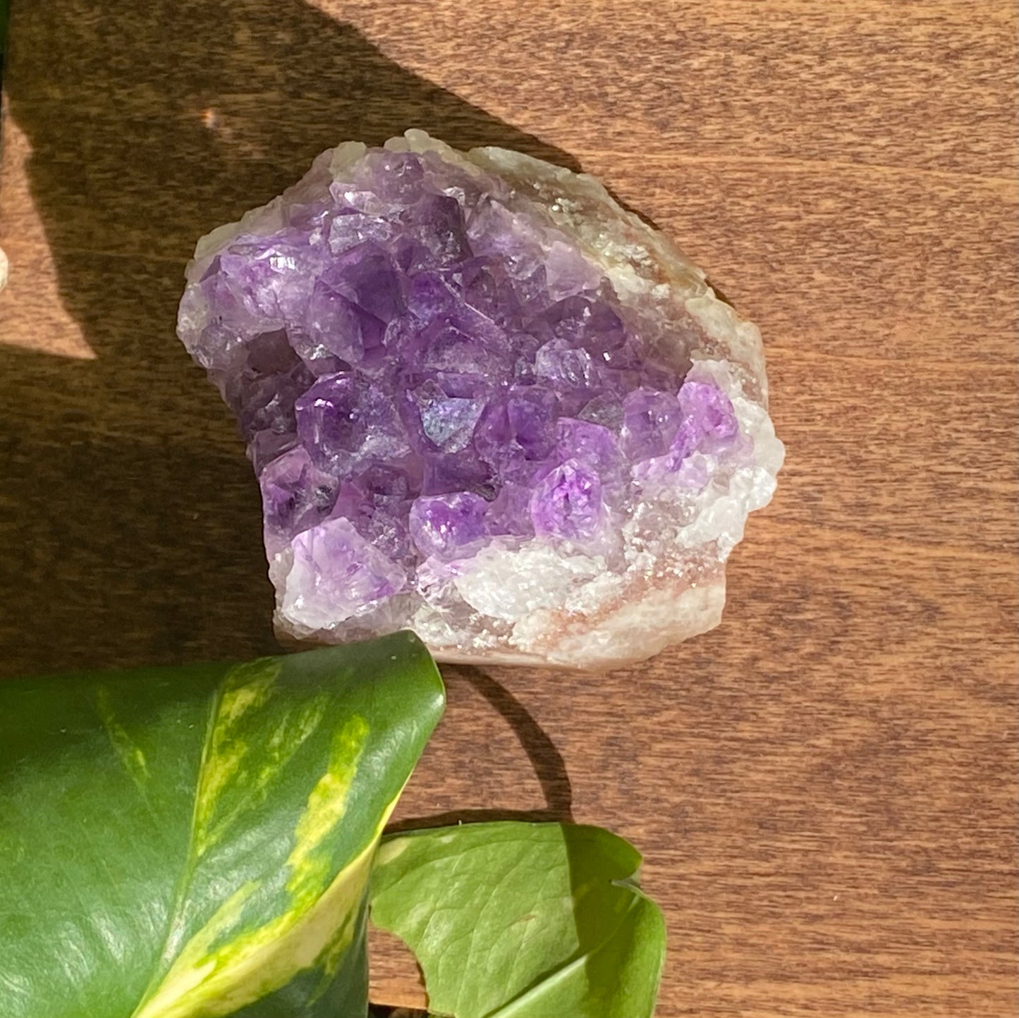 Amethyst Cluster
