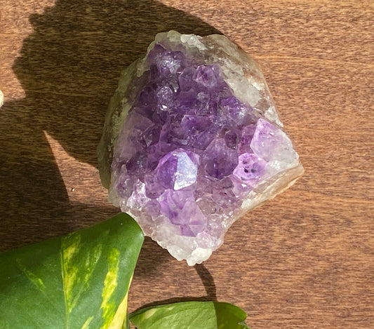 Amethyst Cluster