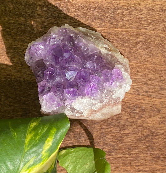 Amethyst Cluster